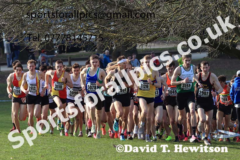 Senior Men, 2024 CAU Inter Counties Cross Country Champs., Wollaton Park, Nottingham. Photo: David T. Hewitson/Sports for All Pics